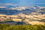 luxuryvillaintuscany.it | tuscany holiday rentals